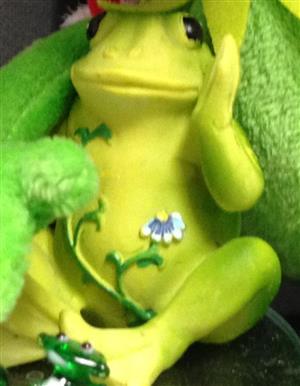 Sally the frog