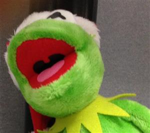 Kermit De Frog